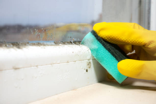 Best Mold Cleaning Services  in Selah, WA